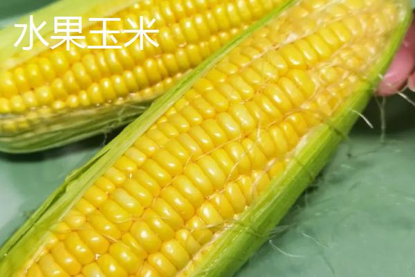 甜玉米可以制成哪些产品，可用来制做罐头、饮料等食品