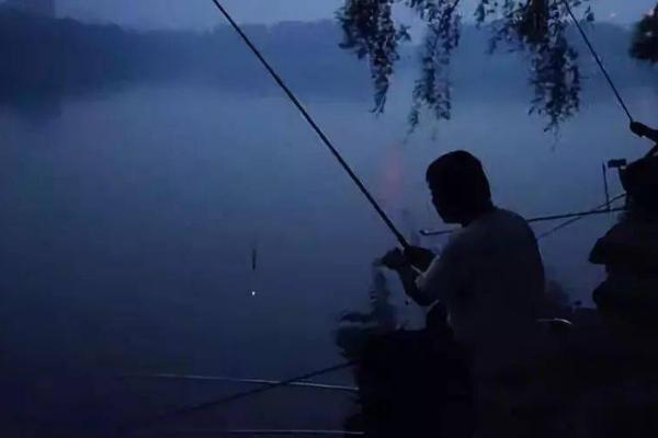 夜钓鱼什么时候开口，8-9、11-3点鱼儿比较活跃