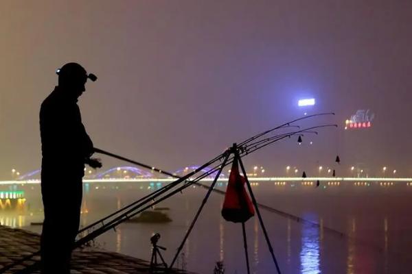 夜钓鱼什么时候开口，8-9、11-3点鱼儿比较活跃
