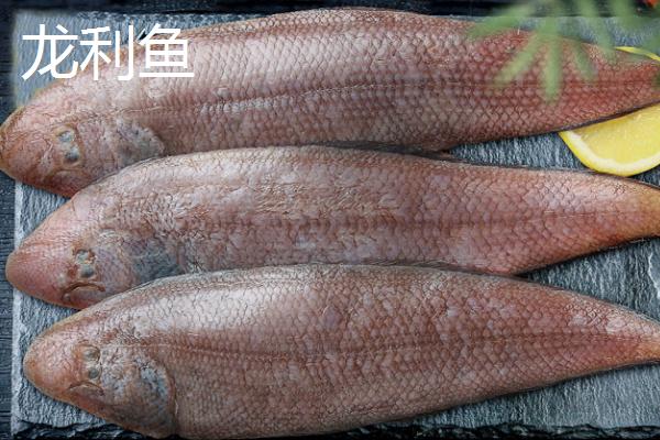 巴沙鱼和龙利鱼的区别，巴沙鱼属于鲶科、龙利鱼属于舌鳎科