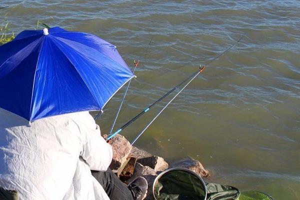 路亚竿在水库钓鱼好不好用，比较好用但不能适用于所有鱼种