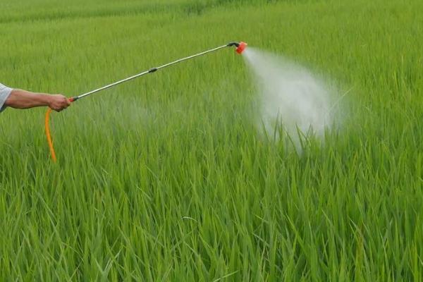农药和肥料混用原则，以作物健康生长为目的