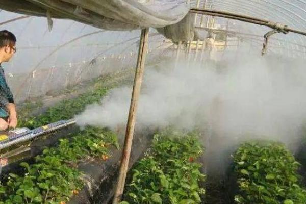 如何用臭氧防治大棚蔬菜病虫害，可用臭氧发生器集中施放于棚内