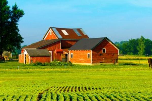 注册家庭农场的方法，需根据经济形式提交相关材料