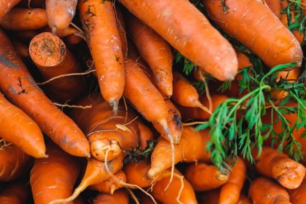 胡萝卜分杈的原因，种子及土壤问题或施肥不当都会导致