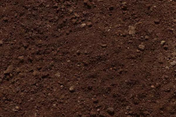 种油菜用什么土，偏酸性的土壤为佳