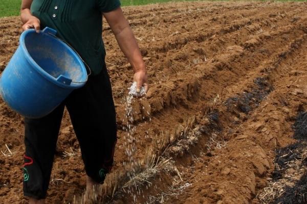 肥料和土壤的酸碱性有何影响，酸碱度会影响到微生物的活性