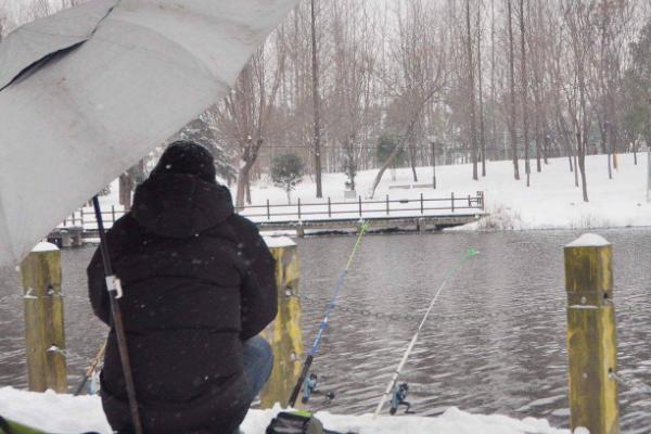 冬季钓鱼何时最容易上鱼，上午10点至下午3点作钓最佳