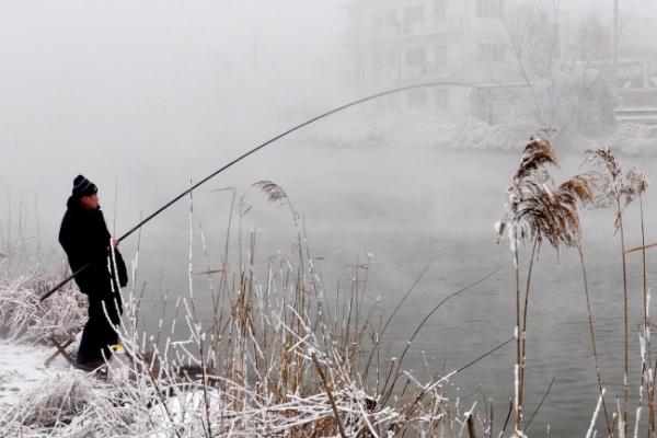 冬季钓鱼何时最容易上鱼，上午10点至下午3点作钓最佳