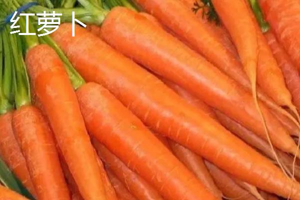 胡萝卜的收获时间，春季播种可在5-7月份收获