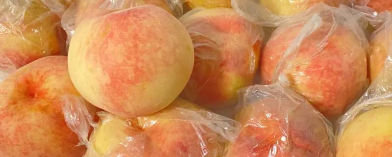 桃子怎么贮藏，可放在低温或密闭环境中保存