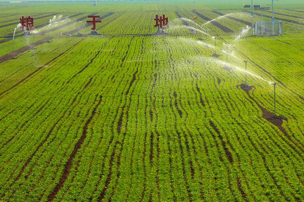 灌溉施肥的优点，肥料利用率明显提高