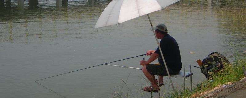 夏季钓鱼是否需要驱蚊，做好驱蚊措施可避免影响垂钓过程