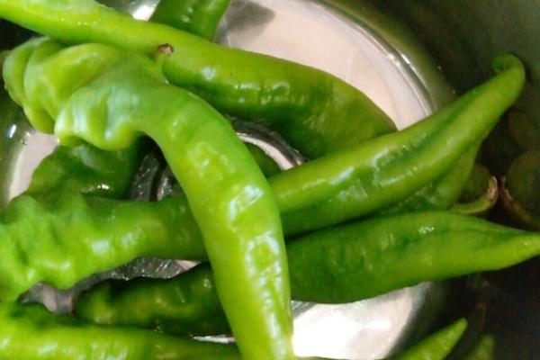 青椒怎么挑选，外观新鲜、明亮的青椒品质较好