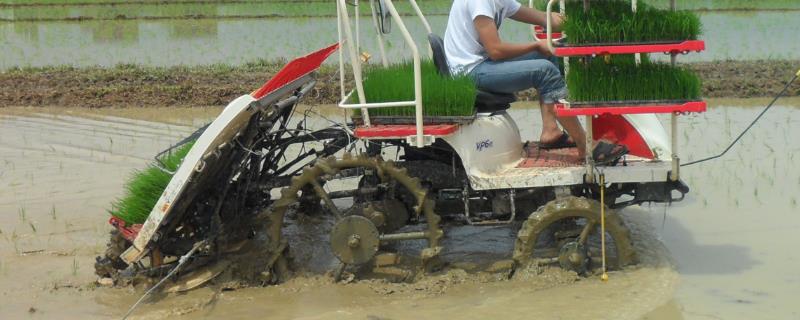 水稻插秧机如何维修保养，需掌握五大技巧