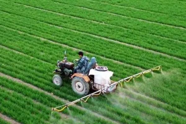 农用氨基酸有什么作用，可改善土壤、促进植物吸收二氧化碳