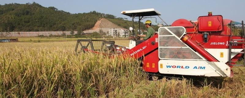 水稻收割机的养护和正确封存技术，先将杂物清理干净