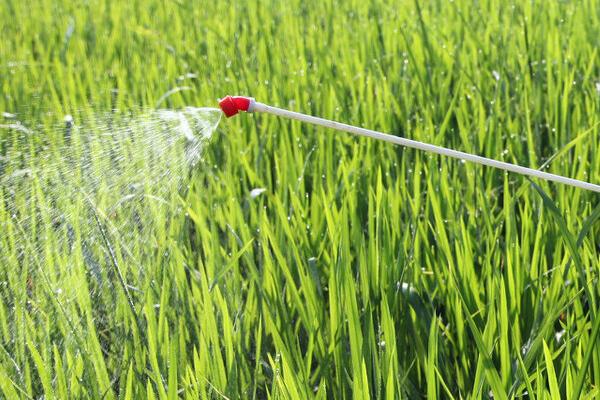 微量元素水溶肥怎么使用，和有机肥搭配使用效果更好
