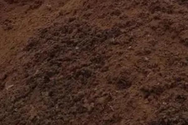 腐叶土和腐殖土的区别，基质、颜色和用处都不同