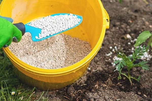 什么是过磷酸钙，是一种可以改良碱性土壤的化学肥料