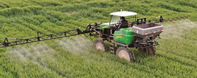 小麦春季怎么防治病虫害，及早春耕、追施磷钾肥可提高小麦的抗病能力
