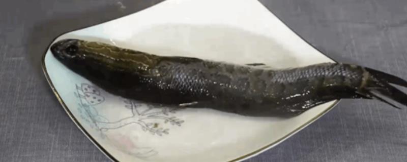 如何清理黑鱼表面的粘液，热水烫或撒上适量面粉