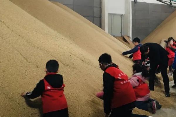 冬季稻种储存方法，要防止六忌的发生