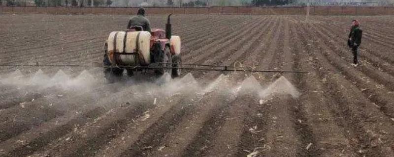玉米苗前除草剂的使用注意事项，在大部分杂草尚未出土前喷施