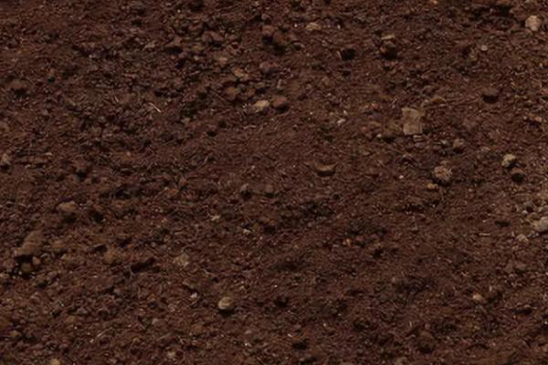 怎么辨别土壤肥力高低，保水保肥保温能力的好坏直接决定土壤肥力