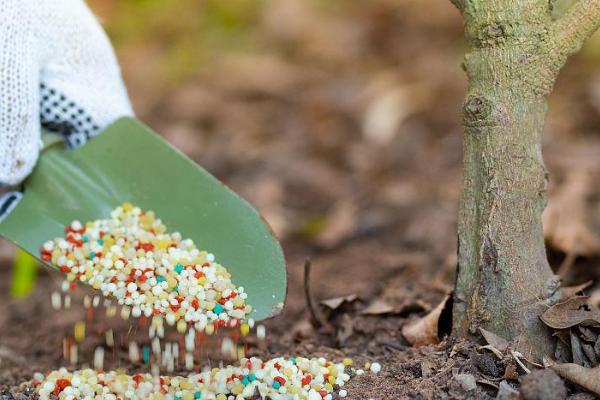 菌肥的正确施用方法，土壤湿度达到60%使用效果更好