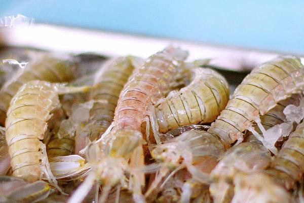 皮皮虾的价格，会受到季节和地区的影响