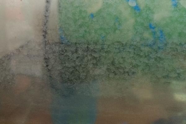鱼缸壁上像绒毛一样的是什么，是指菌膜