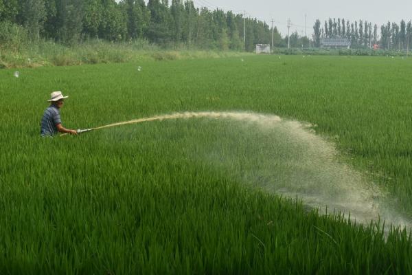 水稻节水灌溉方法，水分耗尽后经过3-4天再灌水