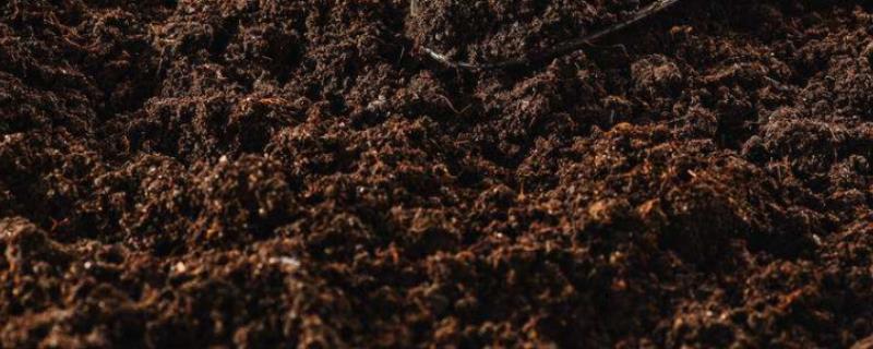 微生物肥料可以修复土壤吗，可以修复被污染的土壤