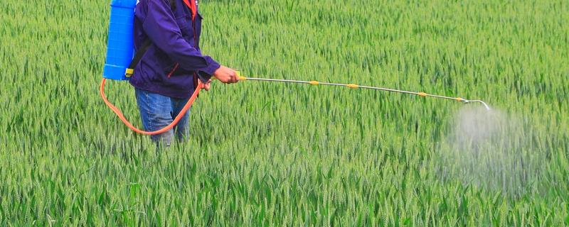 小麦一喷三防是防什么，防病虫害、防干热风和防倒伏