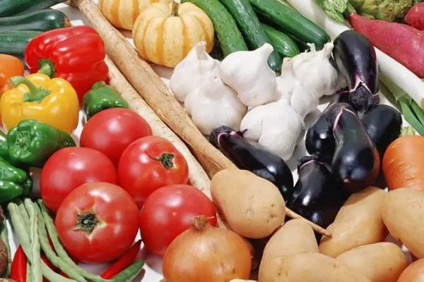 新鲜蔬菜有哪些品种，包括叶菜类、根茎类、芽苗类等