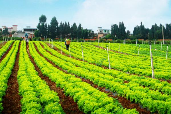 农业生产的核心，是土地、劳动力和农业生产技术