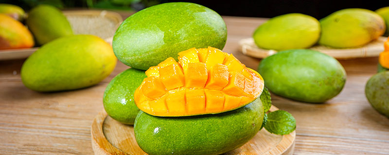 芒果种植技术，芒果有四个关键的施肥时期