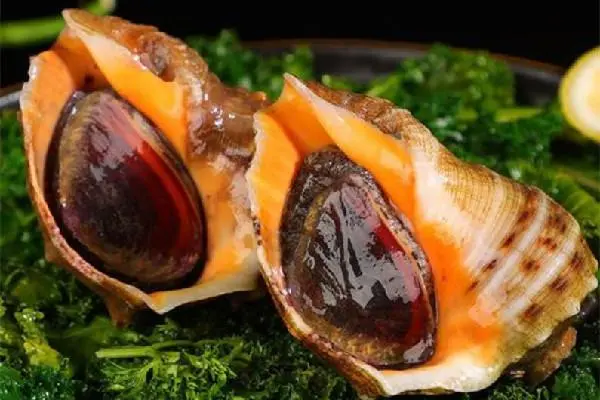 小海螺煮多久能熟透，烹饪技巧大揭秘