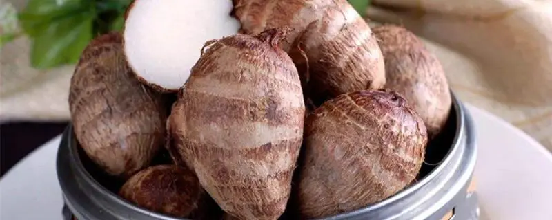 荔浦芋头种植方法，详细步骤及技巧
