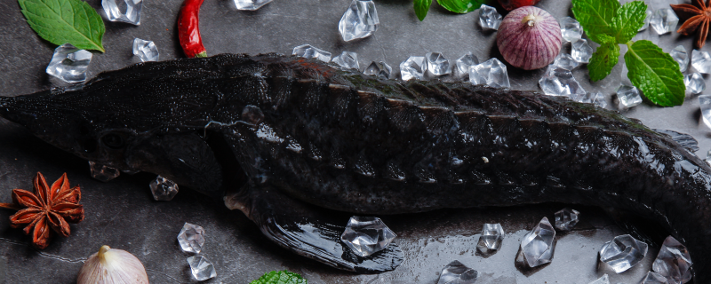 黑鱼养殖技术，黑鱼放养前半个月，用生石灰彻底清塘消毒