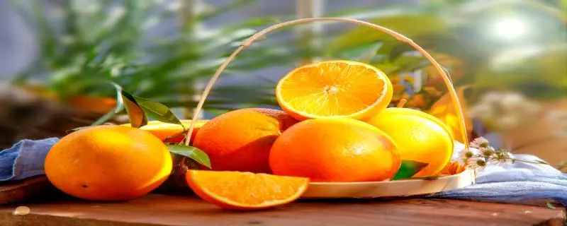橙子的籽可以种吗，橙子种子可以直接种植吗