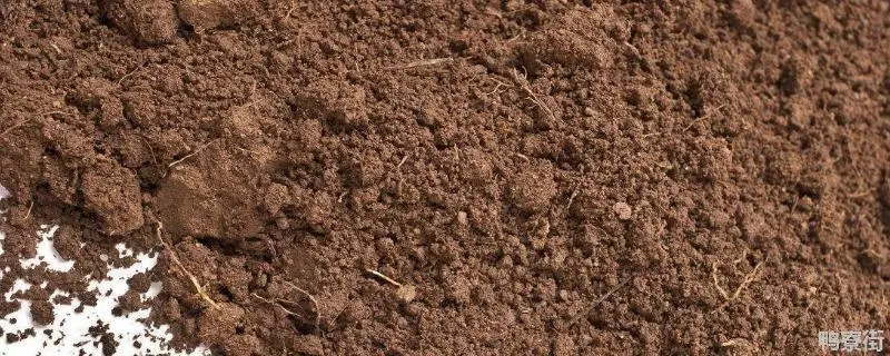 什么土壤最适合种植,土壤适合哪些农作物