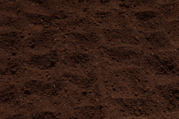 什么土壤最适合种植,土壤适合哪些农作物