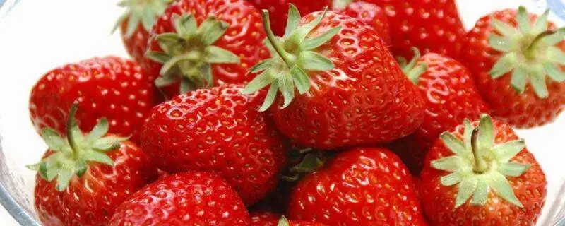 奶油草莓长什么样，外观特征及品质如何判断