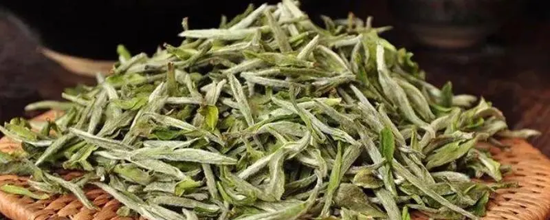 绿茶的生产过程，从采摘到制作全面解析