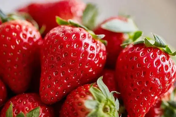 草莓的最佳保鲜方法，如何让草莓保持新鲜